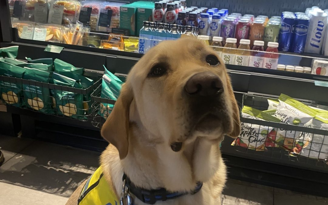 Marsh II | February 2026