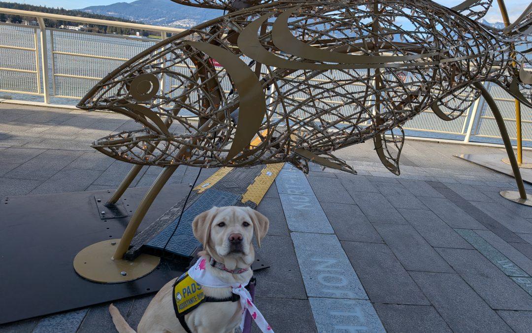 Cruiser | February 2026