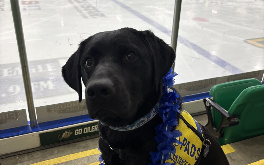 Doane | February 2026