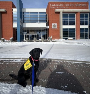 Rimbey | February 2026