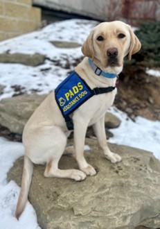 Saphira | February 2026