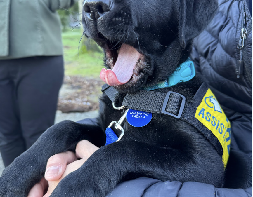 Spring II | January 2026