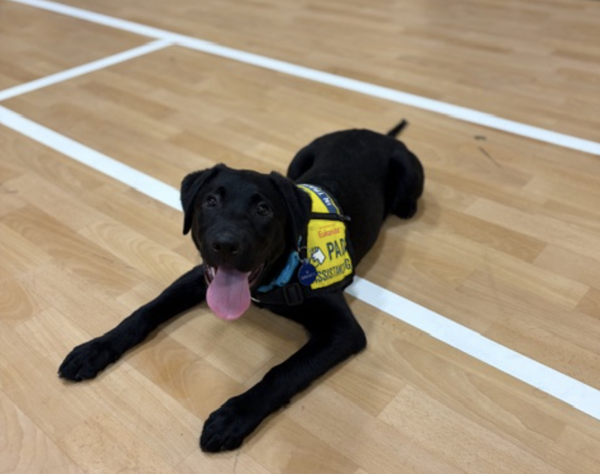 Spring II | February 2026