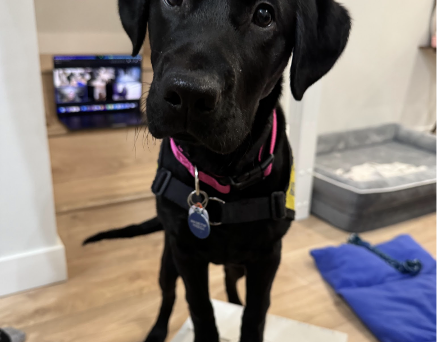 Spring II | March 2026