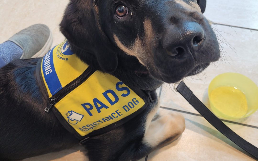 Stetson II | March 2026