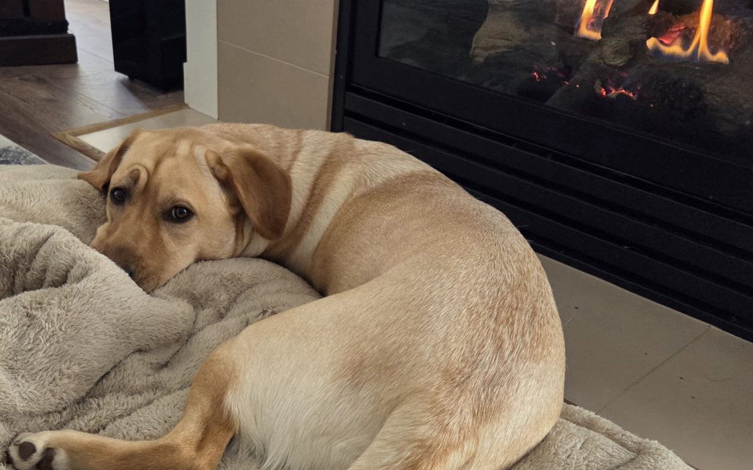 Teenie | February 2026