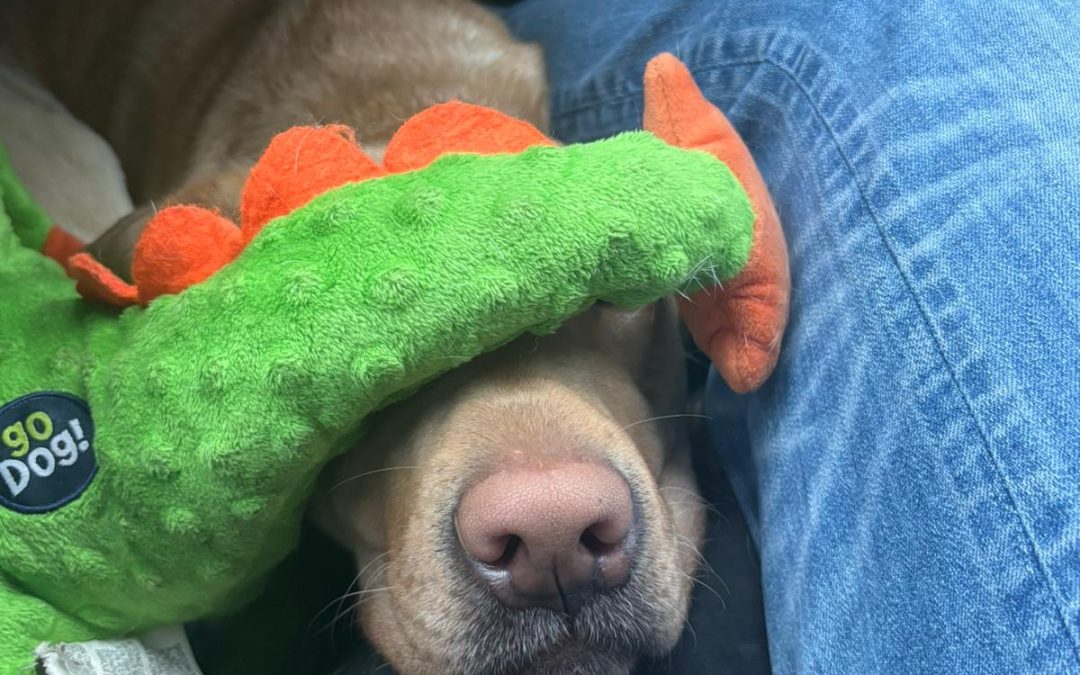 Elora | February 2026