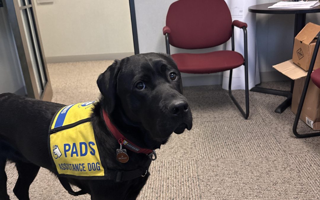 Bromley | January 2026