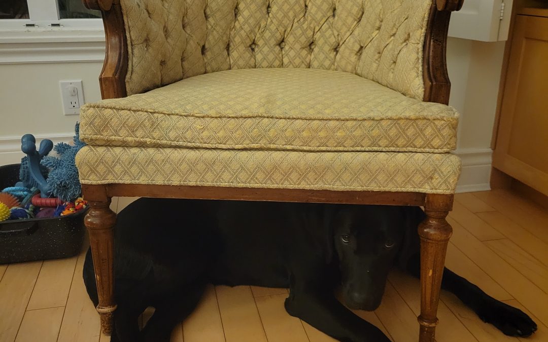 Blue IV | March 2026