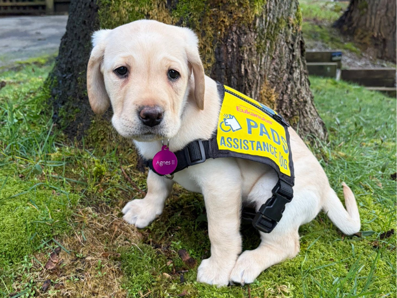 Fresh Faces – April 2026