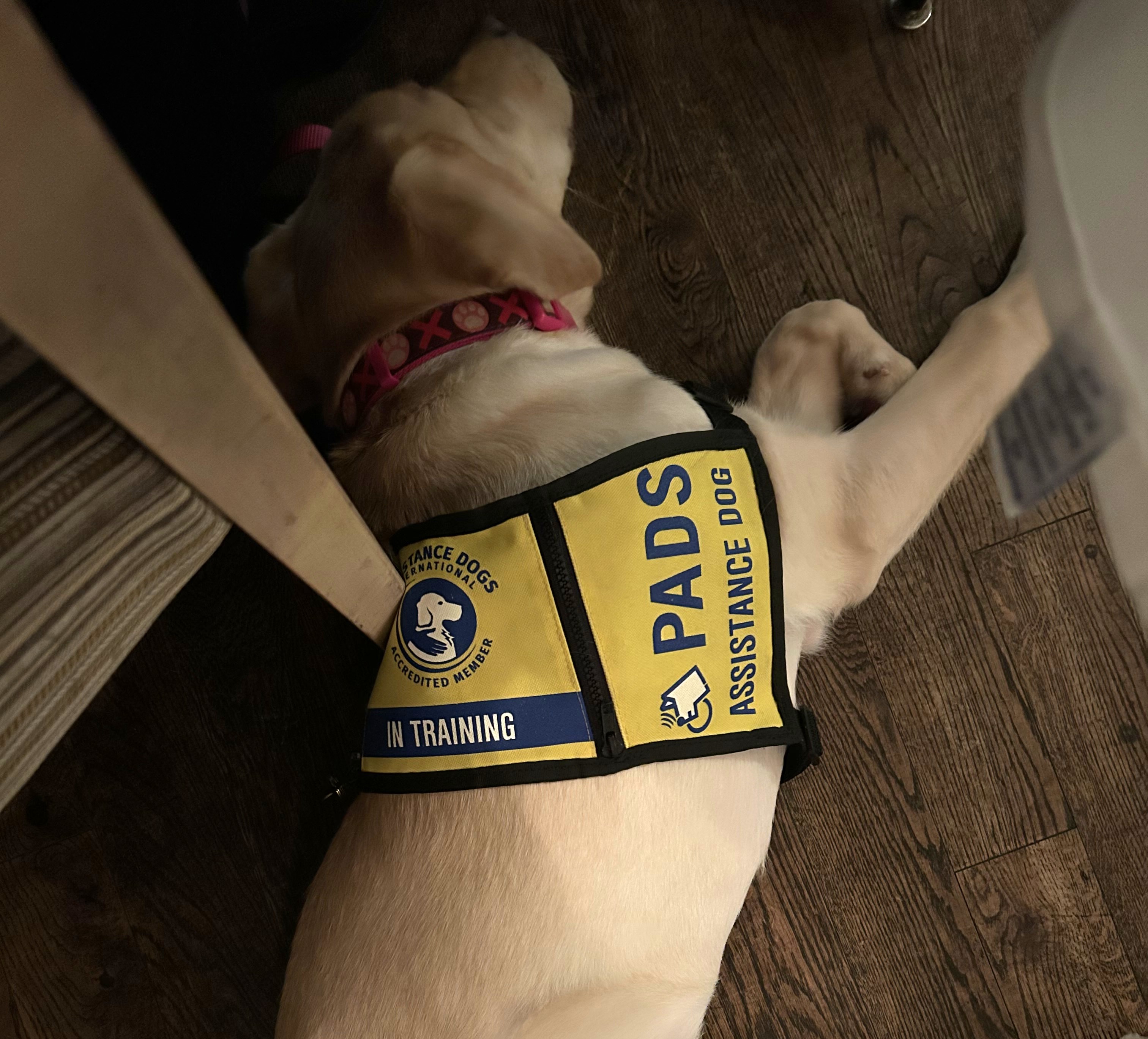 Daisy III | March 2026