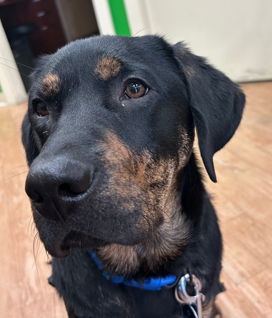 Eddie III | March 2026