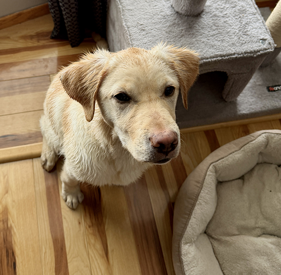 Frosty II | March 2026