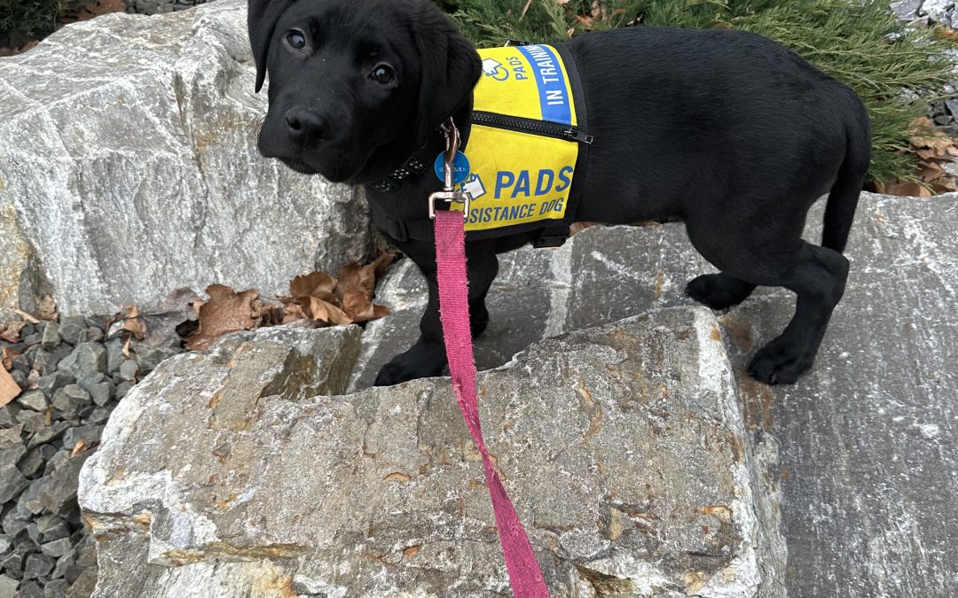 Seymour II | March 2026