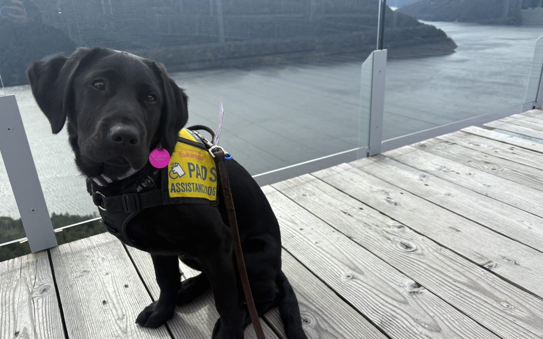 Angel III | March 2026