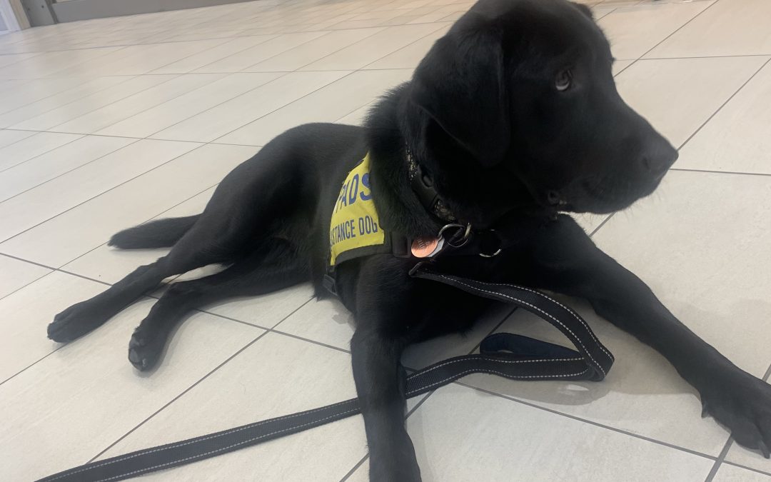 Belle IV | March 2026