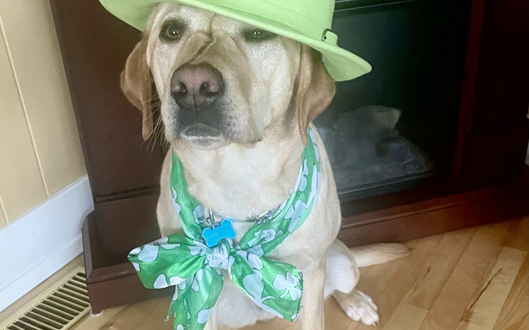 Honey IV | March 2026