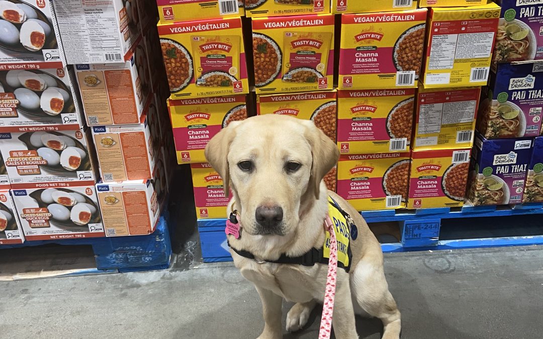 Chorcha | March 2026