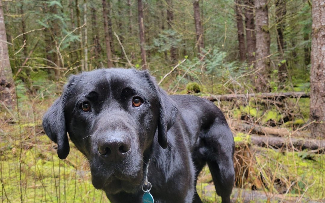 Baldwin | March 2026