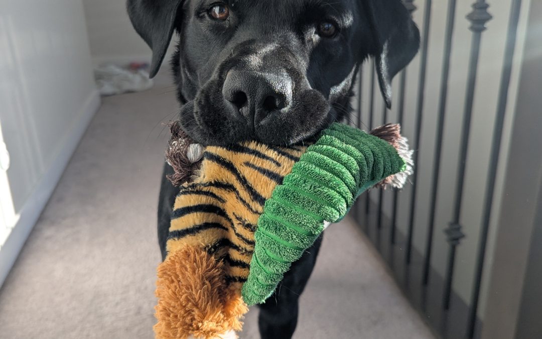 Hunter II | March 2026