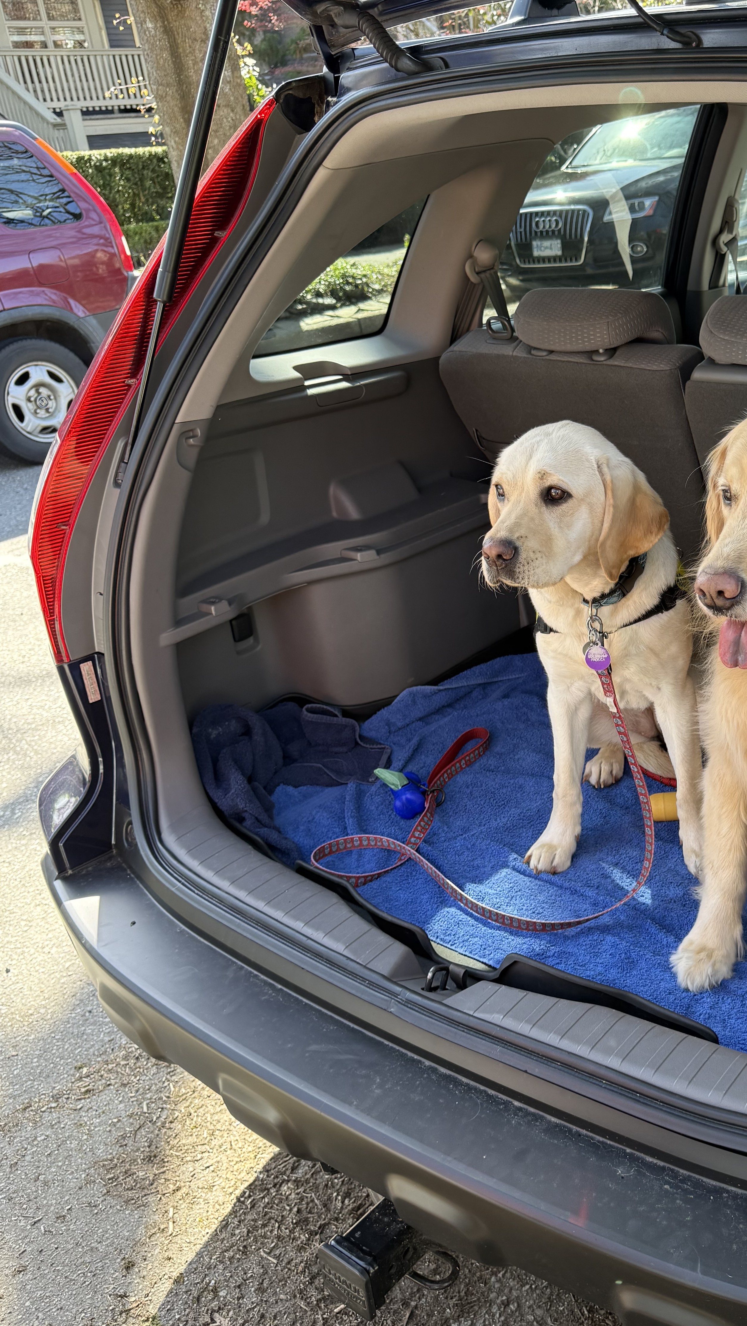 Seven II | March 2026