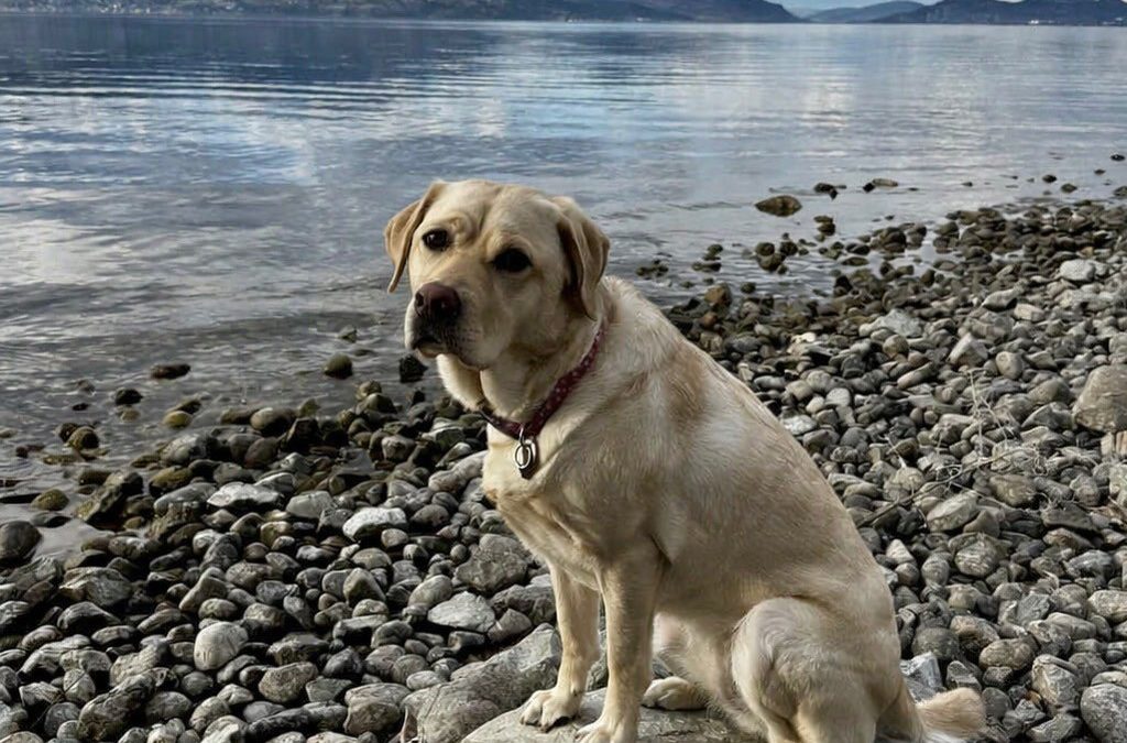 Skaha III | March 2026