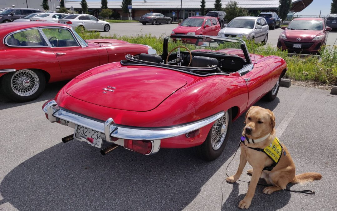 Steel Dreams Show N Shine!