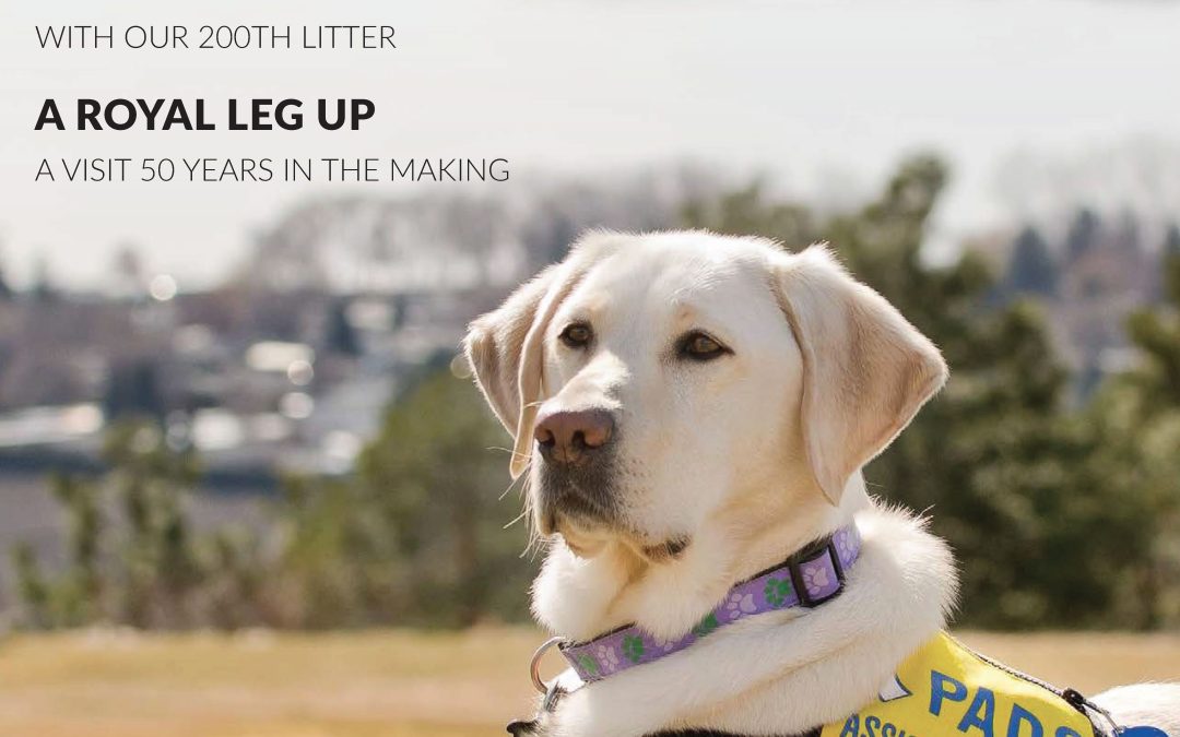 2026 Spring Newsletter
