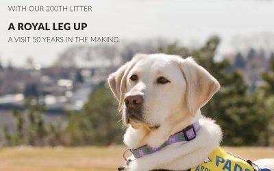 2026 Spring Newsletter