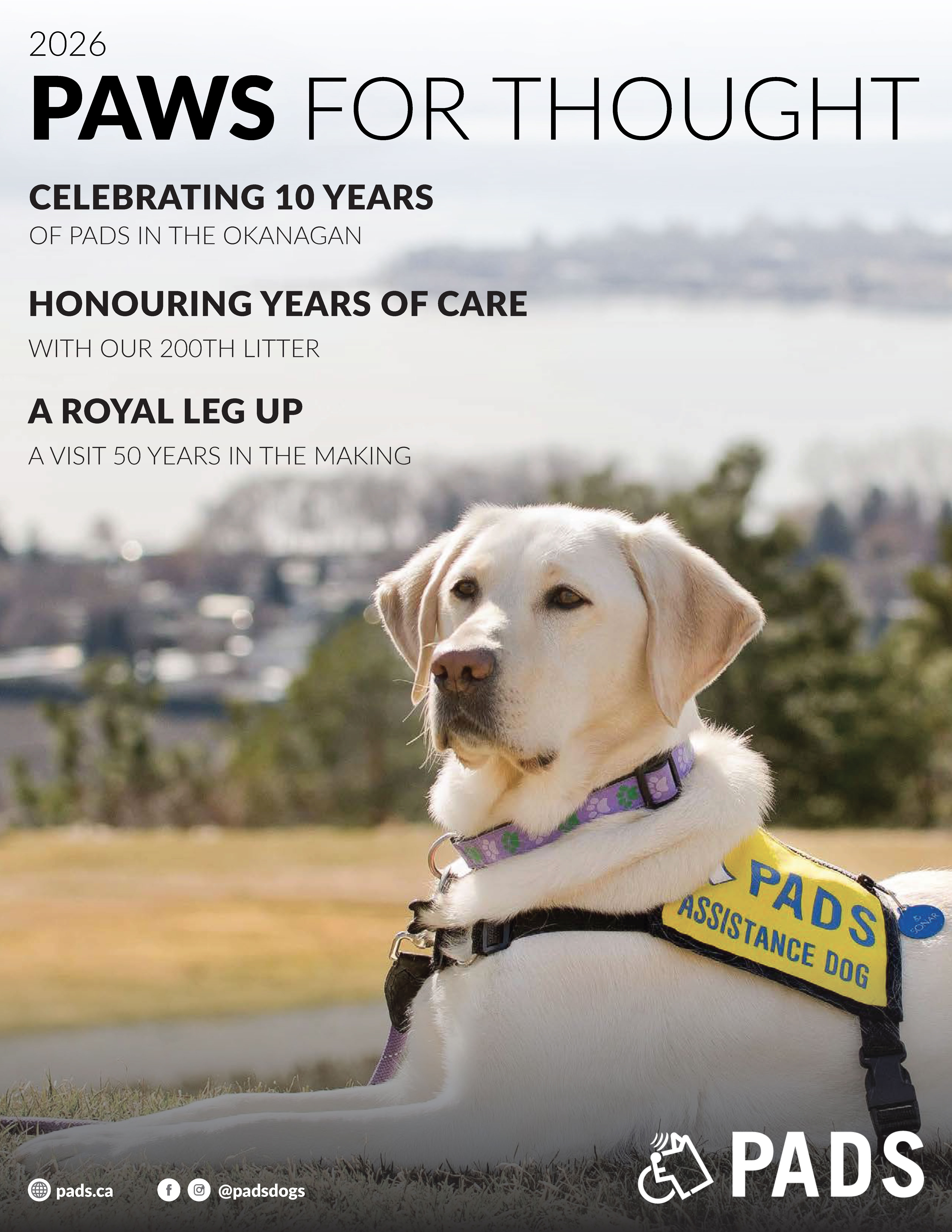 2017 Paws for Thought Newsletter