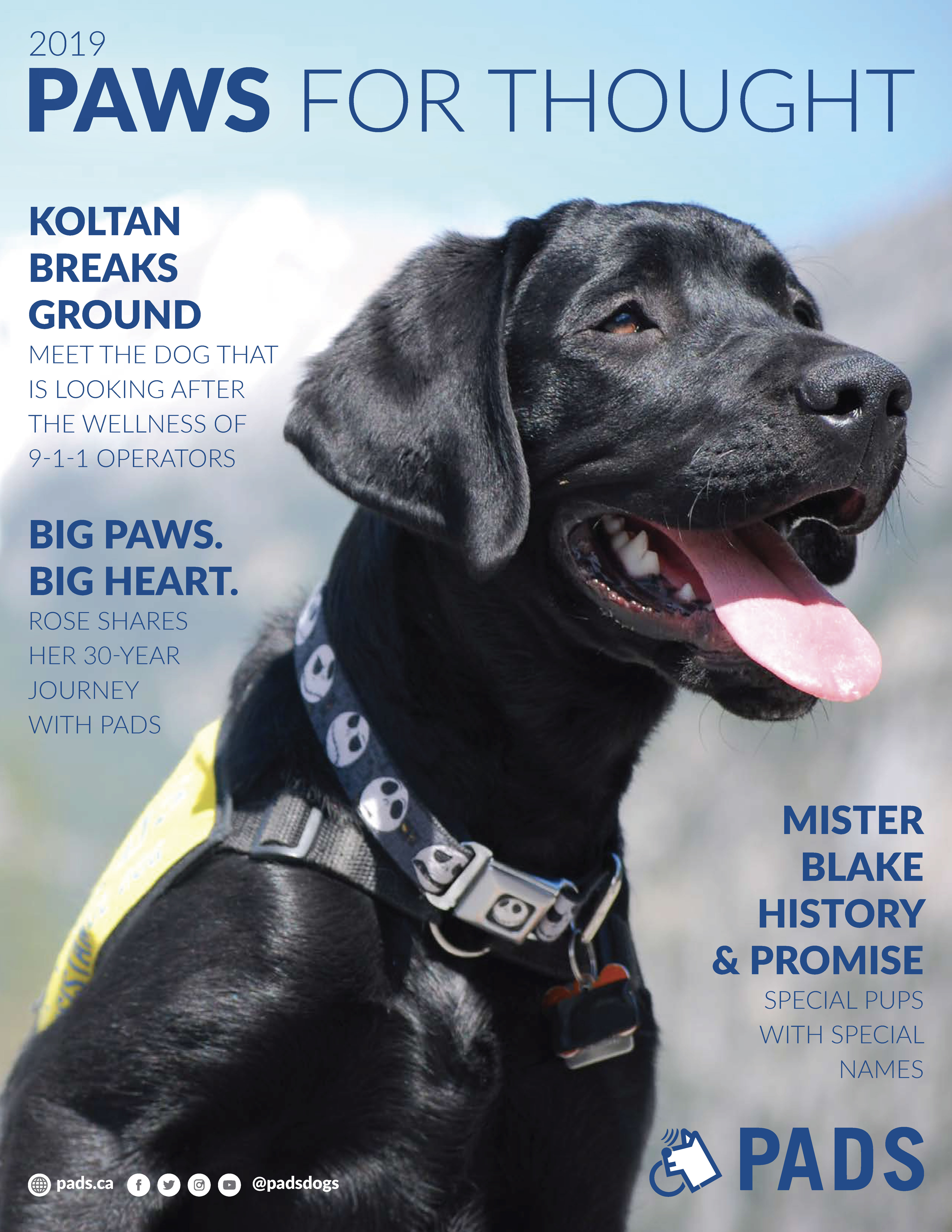 2017 Paws for Thought Newsletter