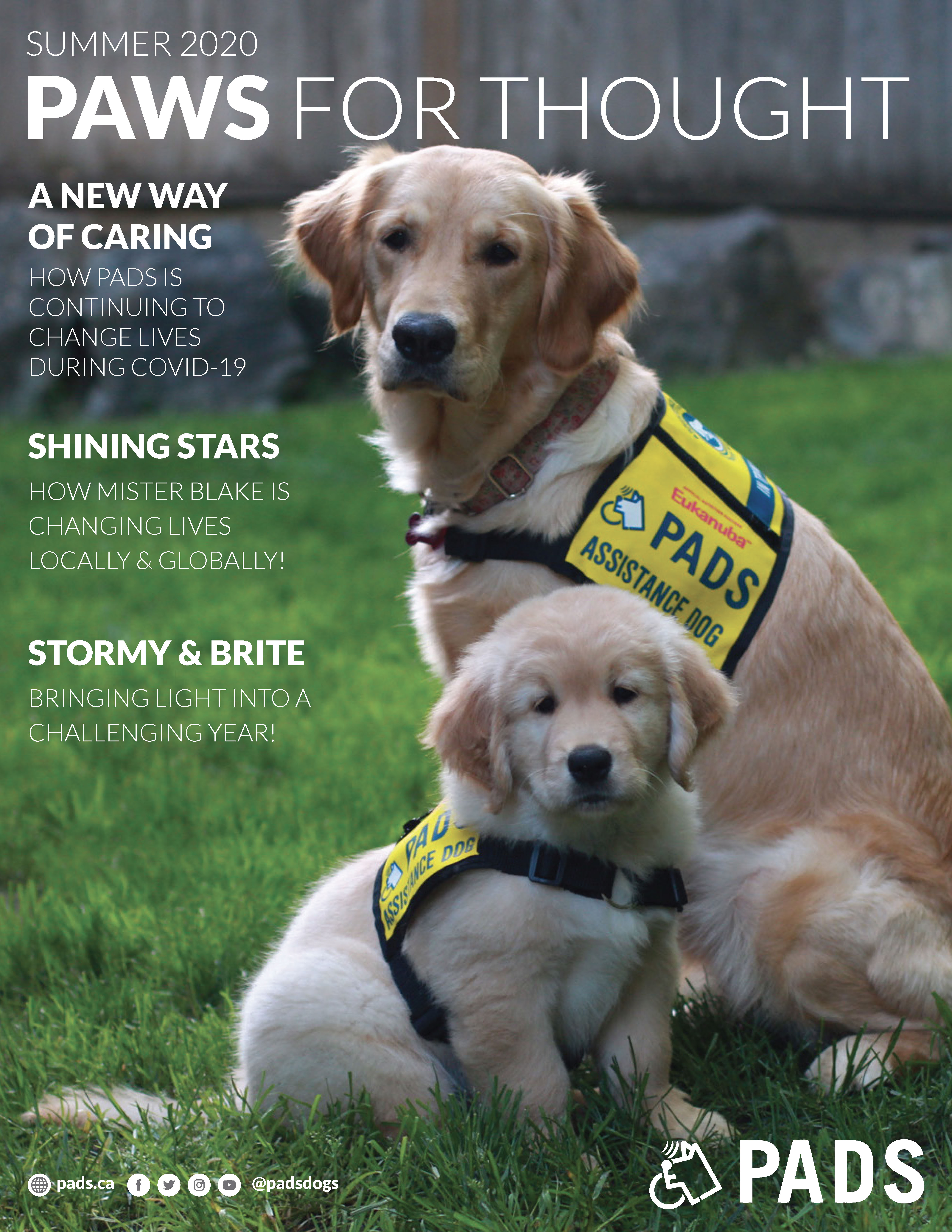 2017 Paws for Thought Newsletter