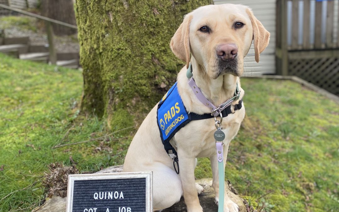 Quinoa | April 2026