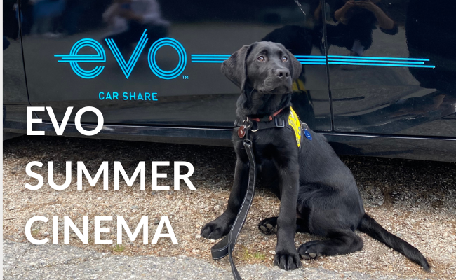 PADS at Evo Summer Cinema
