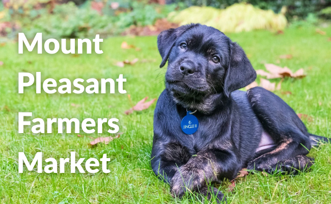 Mount Pleasant Farmers Market