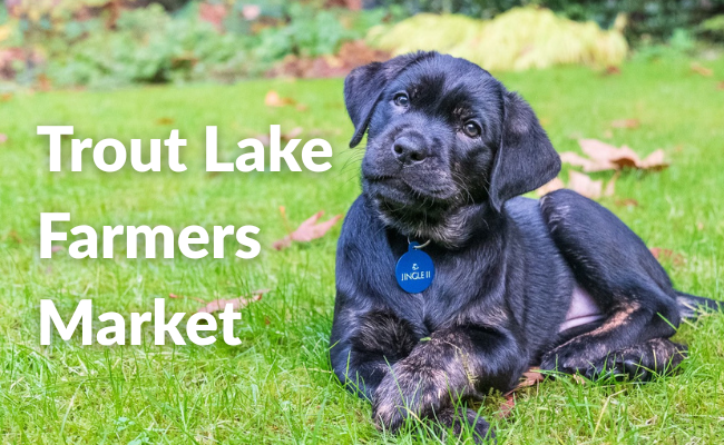 Trout Lake Farmers Market