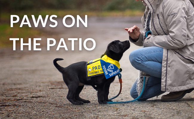 Paws on the Patio