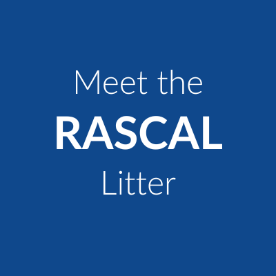 Rascal Litter