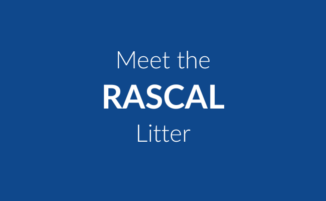 Rascal Litter